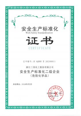 安全生产标准化二级企业