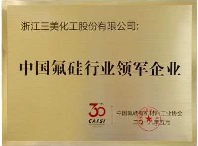 中国氟硅行业领军企业